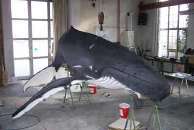 Modell des Buckelwalkalbs für die Greenpeace-Ausstellung im OZEANEUM