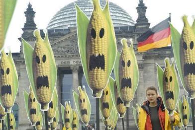 gmo corn Reichstag