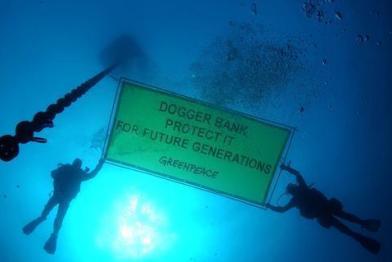 North Sea Marine Reserve banner