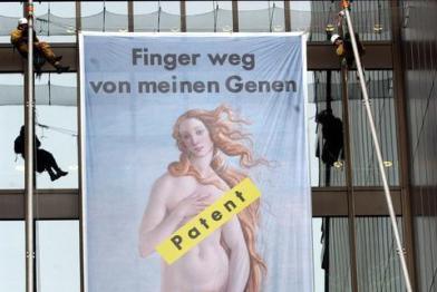 Februar 2002: Greenpeace-Kletterer protestieren vor dem Europäischen Patentamt (EPA) mit einem 12 mal 6 Meter grossen Banner gegen das sog. Brustkrebsgenpatent. 