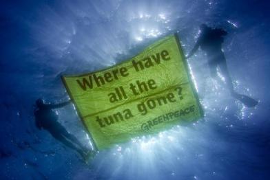 Greenpeace-Taucher mit Unterwasserbanner