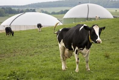 Bioenergiedorf Jühnde