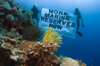 Marine Reserve banner
