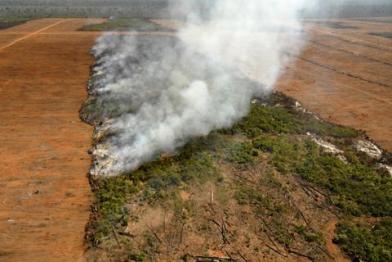 soya plantation in the Amazon