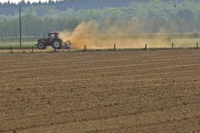 Drought in agriculture 2007