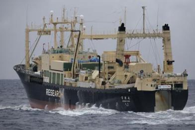 whaling action  Southern Ocean