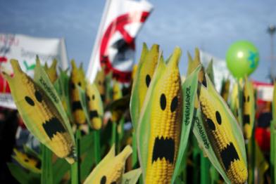 Demonstration in Berlin im Januar 2011