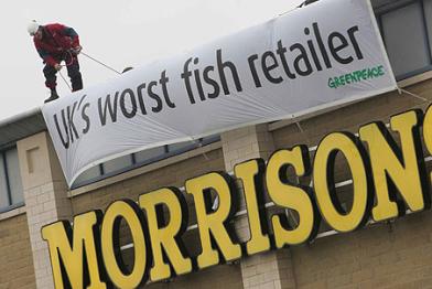 Fischaktion bei Morrison's - Großbritannien
