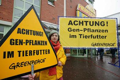 Gruppenaktionstag gegen Gen-Futter bei Landliebe in Marburg