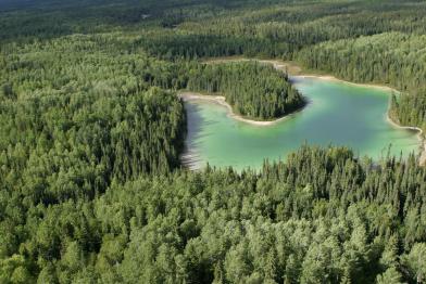 Kanadischer Urwald aus der Luftperspektive 
