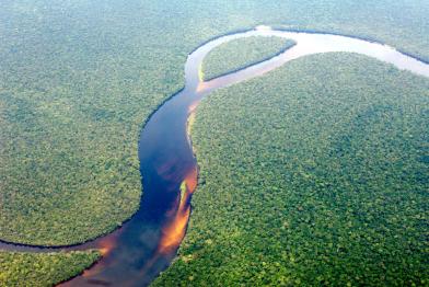 Regenwald im Kongo aus der Luftsperspektive
