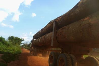 Siforco-LKW, der Baumstämme zum Dorf Bossanga transportiert.