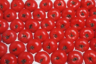 Tomaten