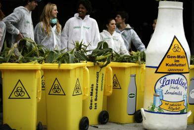 Action against Genetic Engineering in Germany