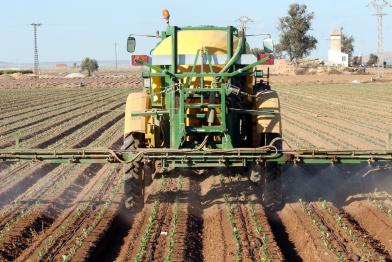 Ein Traktor versprüht auf einem Feld in Spanien Pestizide.