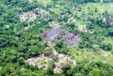 Abholzung im Kongo, Perspektive aus der Luft