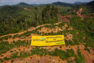 Protest gegen Palmöl in Sumatra