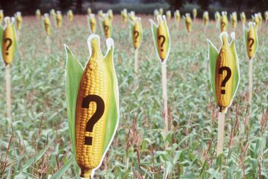 GE Protest against EU Seed Directive in Germany
