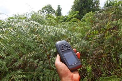 Use of GPS to Detect Forest Fire Hotspot in Riau