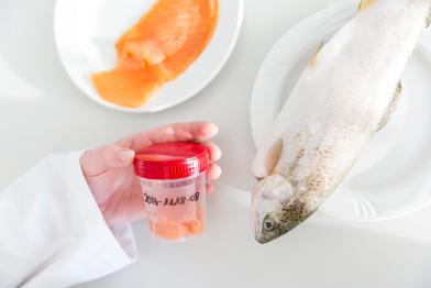 Greenpeace-Ozeanexperte Thilo Maack bei Prüfung von Fischprodukten in Deutschland