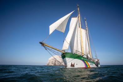 Greenpeace Schiff Beluga II vor dem  Bass Rock (Schottland)