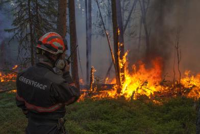 Extinguishing Forest Fires in the Denezhkin Kamen Reserve in the Urals