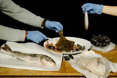 Photo Still Life of Seafood