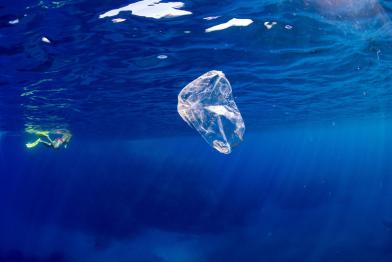 Plastic Pollution in Capraia Island