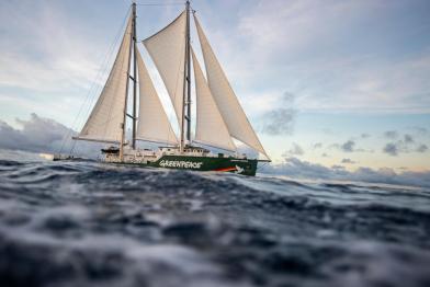 Greenpeace-Schiff, Rainbow Warrior, im Pazifischen Ozean
