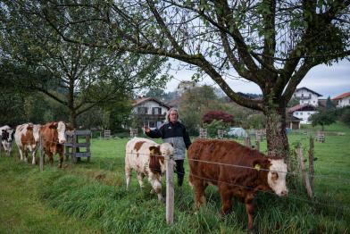 Ökologischer Rinderbetrieb in Bayern: Landwirt auf einer Weide mit Rindern
