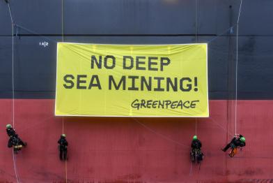 "No Deep Sea Mining" – Greenpeace-Aktion in Rotterdam