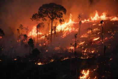 Fire and Deforestation in Porto Velho in the Amazon in Brazil