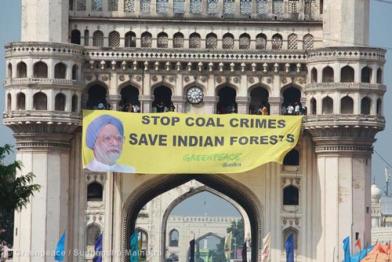 Greenpeace protestiert gegen die Zerstörung der indischen Wälder.