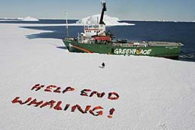 "Help End Whaling !"