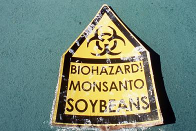 Warnschild: Biologische Gefahr! Monsanto-Soja