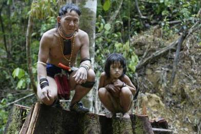 Abholzung in Malaysia