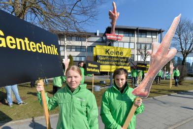 Greenpeace-Aktivisten demonstrieren vor der McDonald's-Zentrale in München