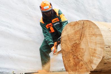 Vor der Siemens-Zentrale zersägt ein Greenpeace-Aktivist den Stamm eines Paranuss-Baumes