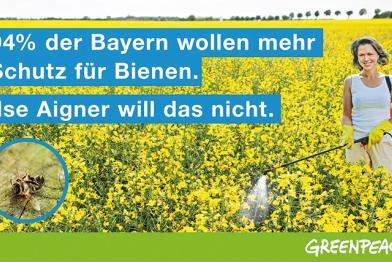Protest für mehr Bienenschutz