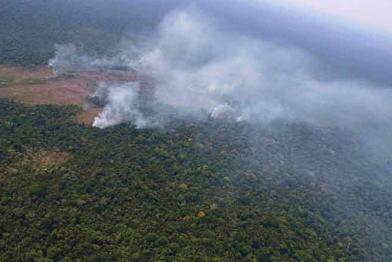 Feuer im Amazonas, September 2019