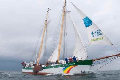 Beluga II in der Ostsee, auf dem Segel das Logo "1:1 Riesen der Meere" aus dem Ozeaneum, Juni 2008
