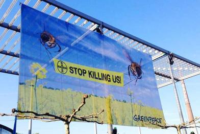 Greenpeace Aktivisten protestieren vor dem Firmensitz des Chemiekonzerns Bayer gegen Bienenkiller, April 2014