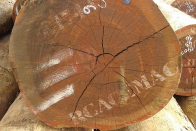 Holz aus der Zentralafrikanischen Republik  2014 im Hafen von La Rochelle aufgenommen