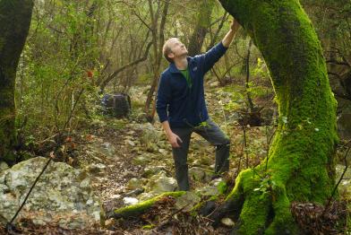 Matthias Schickhofer im Wald. Neben ihm ragt ein vollständig bemooster Baumstamm auf, zu dem er aufschaut, und den er mit  ausgestreckter Hand berührt.