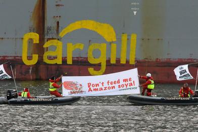 Greenpeace-Protest gegen die illegale Abholzung des Regenwalds für den Sojaanbau durch Cargill 04/08/2006