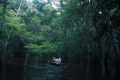 Deni-Indianer paddeln im Kanu auf dem Fluss Cuniua, Februar 2001
