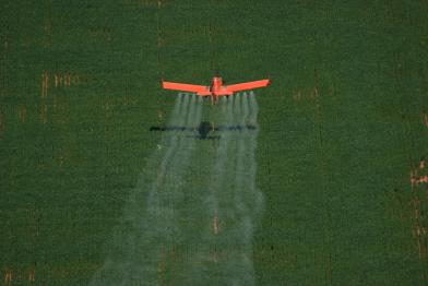 Flugzeug versprüht Pestizide über Feld