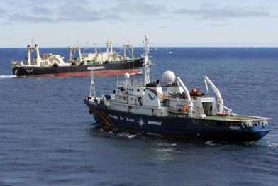 Esperanza im Südpolarmeer