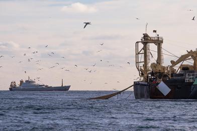 Fischereischiffe im Ärmelkanal