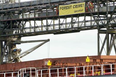 Aktion auf dem Soja-Frachter Flecher 